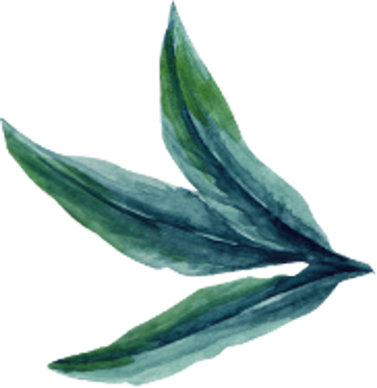 feuille   